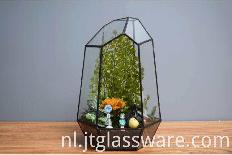 Glass Plant Terrarium2